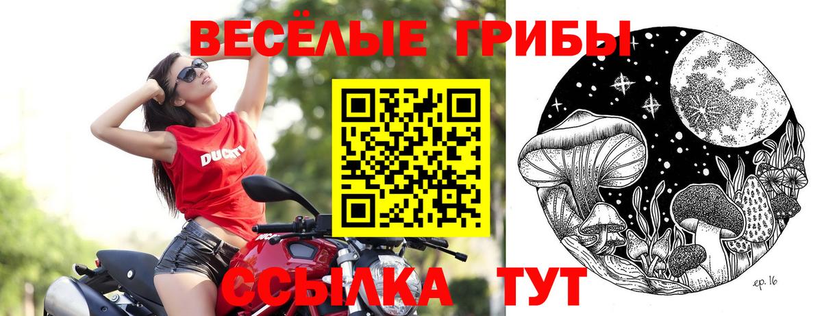 Сухой Лог  Псилоцибиновые грибы прущие грибы  Вход с VPN  Галлюциногенные грибы Psilocybine cubensis 